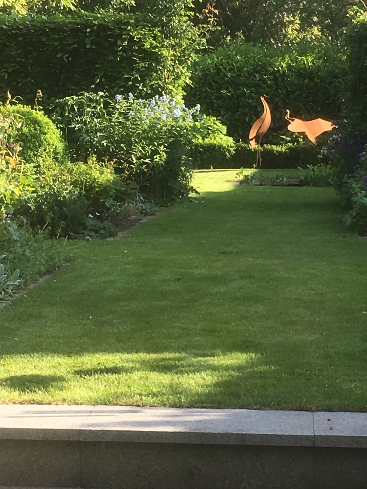 kraanvogel (staand, baltsend mannetje met gespreide vleugels)